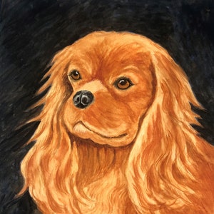 Arte Cavalier King Charles Spaniel, RUBI, pintura em aquarela ORIGINAL OU impressão giclée, presente para amante de Cavalier