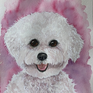 BICHON FRISÉ ART, Original Watercolor Painting -or- Giclee Art Print, Gift for Bichon Lover