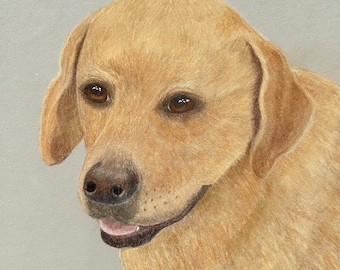 LABRADOR RETRIEVER ART, Oryginalna sztuka kredkowa -lub- Archiwalny wydruk artystyczny Giclee, Żółty labrador, Prezent dla miłośnika labradorów