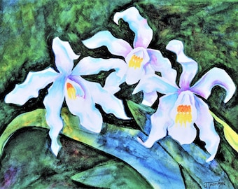 White Orchids LIMITED EDITION Art Print from Original Watercolor Painting, Fine Art Print, Giclee Print, Floral Art