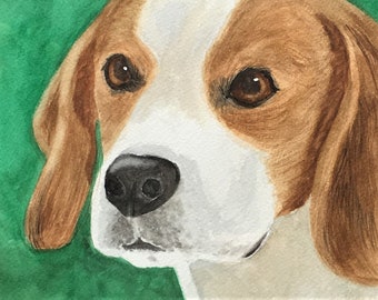 BEAGLE ART CLOSEUP  Print from Original Watercolor Art, Giclee Print, Gift for Beagle Lover