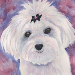 MALTESE WITH BOW, Maltese Art, Maltese Portrait,  Original Watercolor Painting, or Giclee Print.  Gift for Maltese Lover