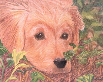 May include: A close-up of a golden retriever puppy's face, with soft fur and big brown eyes. The puppy is looking directly at the viewer, with its nose and mouth slightly open. The puppy is surrounded by green leaves, suggesting it is outdoors.