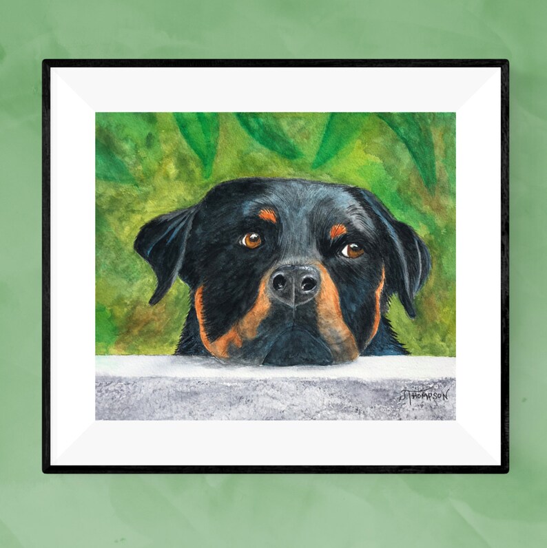 K&ouml;nnte beinhalten: Ein Aquarellbild eines Rottweilers, der von einer Mauer aus schaut. Der Hund hat schwarzes Fell mit braunen Abzeichen um die Augen und den Mund. Der Hintergrund ist ein gr&uuml;ner Aquarell-Wasch.