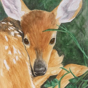 FAWN DEER ART, Giclée Print from Original Watercolor, Wildlife Art, Gift for Nature Lover