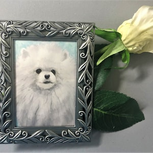 WHITE POMERANIAN Enmarcado Miniature Art Print, Tiny Art, Miniature Painting, Gift for Pomeranian Lover, Miniature Collector