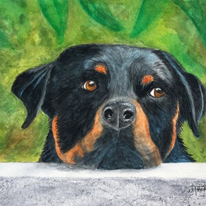 ROTTWEILER KUNST, Original Aquarell Schmerz -oder- Giclée Kunstdruck, Geschenk für Rottie Rottweiler Liebhaber Bild 1