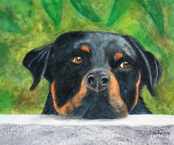 ROTTWEILER ART, Original Watercolor Paining -or- Giclée Art Print, Gift for Rottie Rottweiler Lover