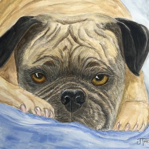 PUGNACIOUS PUG ART, Original Watercolor Painting, -or- Giclee Print, Pug Art, Gift for Pug Lover