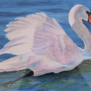 SWAN ART PRINT I from Original Watercolor, Giclee Print, Nature Print, Wildlife Print, Bird