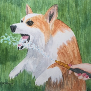 CORGI ART, Corgi with Hose,  Giclee Print from Original Watercolor Painting, Gift for Corgi Lover