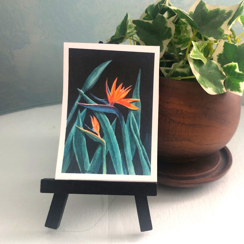 Aceo - Etsy