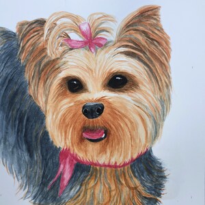 YORKIE, YORKSHIRE TERRIER Art, Giclee Print of Original Watercolor Painting,  Gift for Yorkie Lover