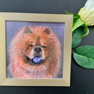 CHOW CHOW, Archival Giclee Framed Art Print, Colored Pencil Artwork,  Gift for Chow Chow lover