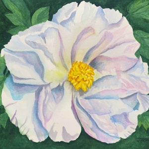 WHITE PEONY Art, ORIGINAL Watercolor Painting -or- Archival Giclee Print, Floral Art, Floral Wall Decor