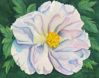 WHITE PEONY Art, ORIGINAL Watercolor Painting -or- Archival Giclee Print, Floral Art, Floral Wall Decor