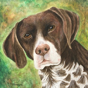 GERMAN SHORTHAIRED POINTER Art, Original or Giclee Print, Gift for Pointer Lover