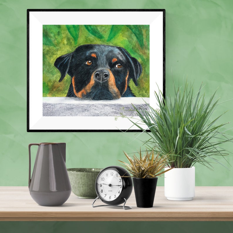K&ouml;nnte beinhalten: Aquarellmalerei eines schwarzen und braunen Rottweilers, der von hinter einer Mauer herausschaut. Der Hund hat einen ernsten Ausdruck und schaut direkt auf den Betrachter. Der Hintergrund ist ein gr&uuml;ner Aquarell-Wasch.