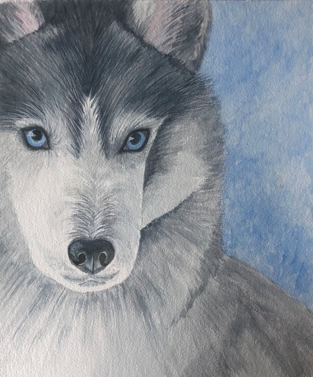 siberian mouse1 SIBERIAN HUSKY ART, Original Watercolor Art or Giclee Art Print, Gift for  Husky Lover - Etsy