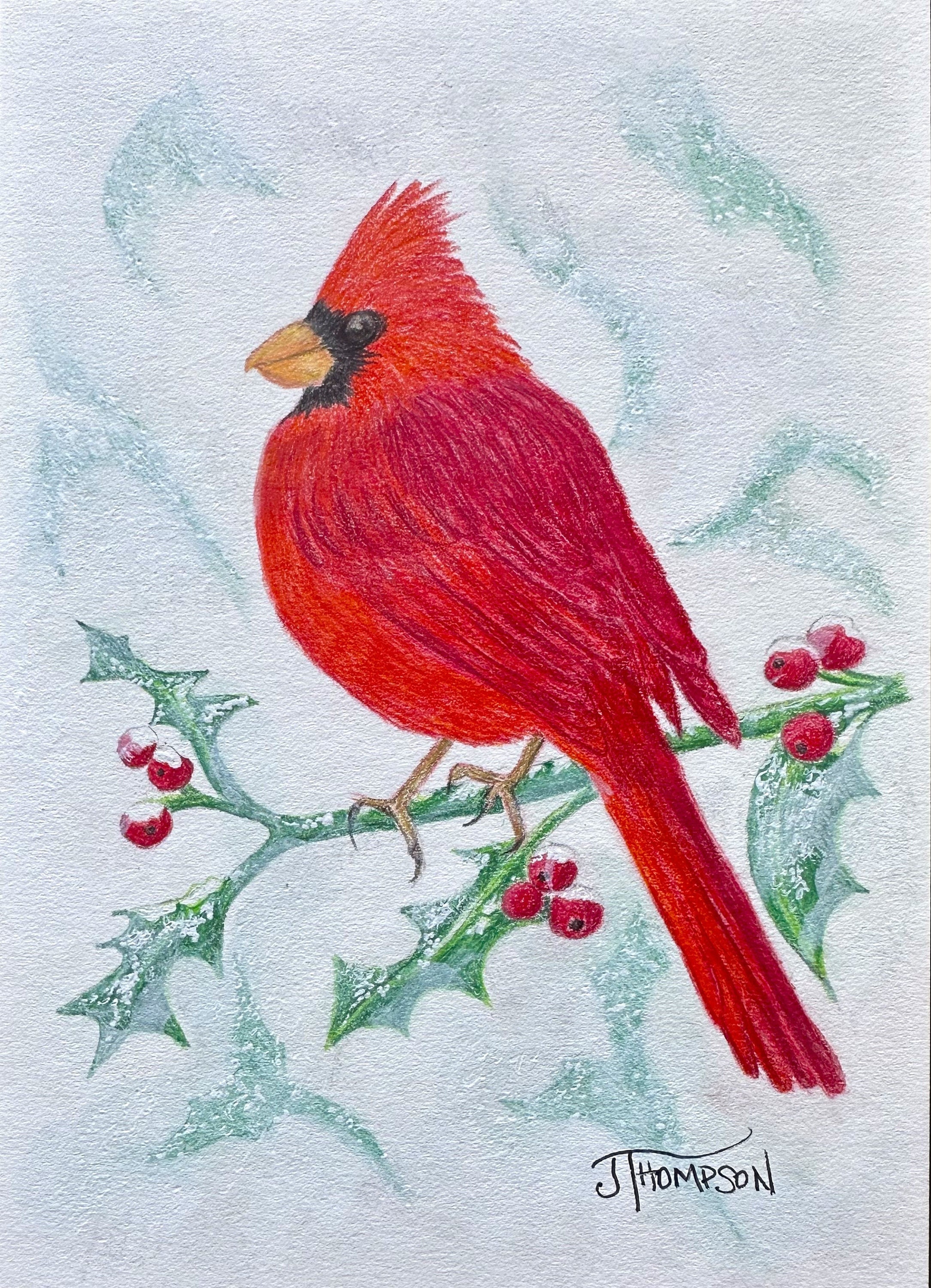 ORIGINAL BIRD ART, Northern Cardinal, Original Colored Pencil Drawing or  Archival Giclee Print - Etsy