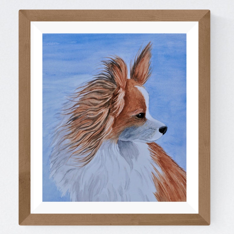 May include: Watercolor painting of a brown and white papillon dog with long, flowing hair. The dog is looking to the right and has a blue background.