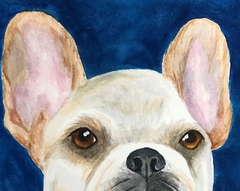 FRENCH BULLDOG Art Closeup,  Giclee Print, Gift for Frenchie Lover