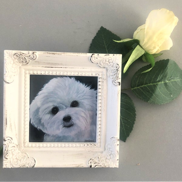 BICHON FRISÉ Miniature Framed Painting from Original Watercolor Art, Gift for Bichon Lover