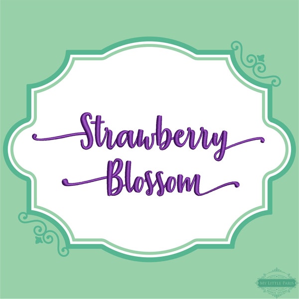 Embroidery Strawberry Font  - 0.75" 1" 1.5" 2"- BX Included - 11 Machine Formats - Instant Download Files