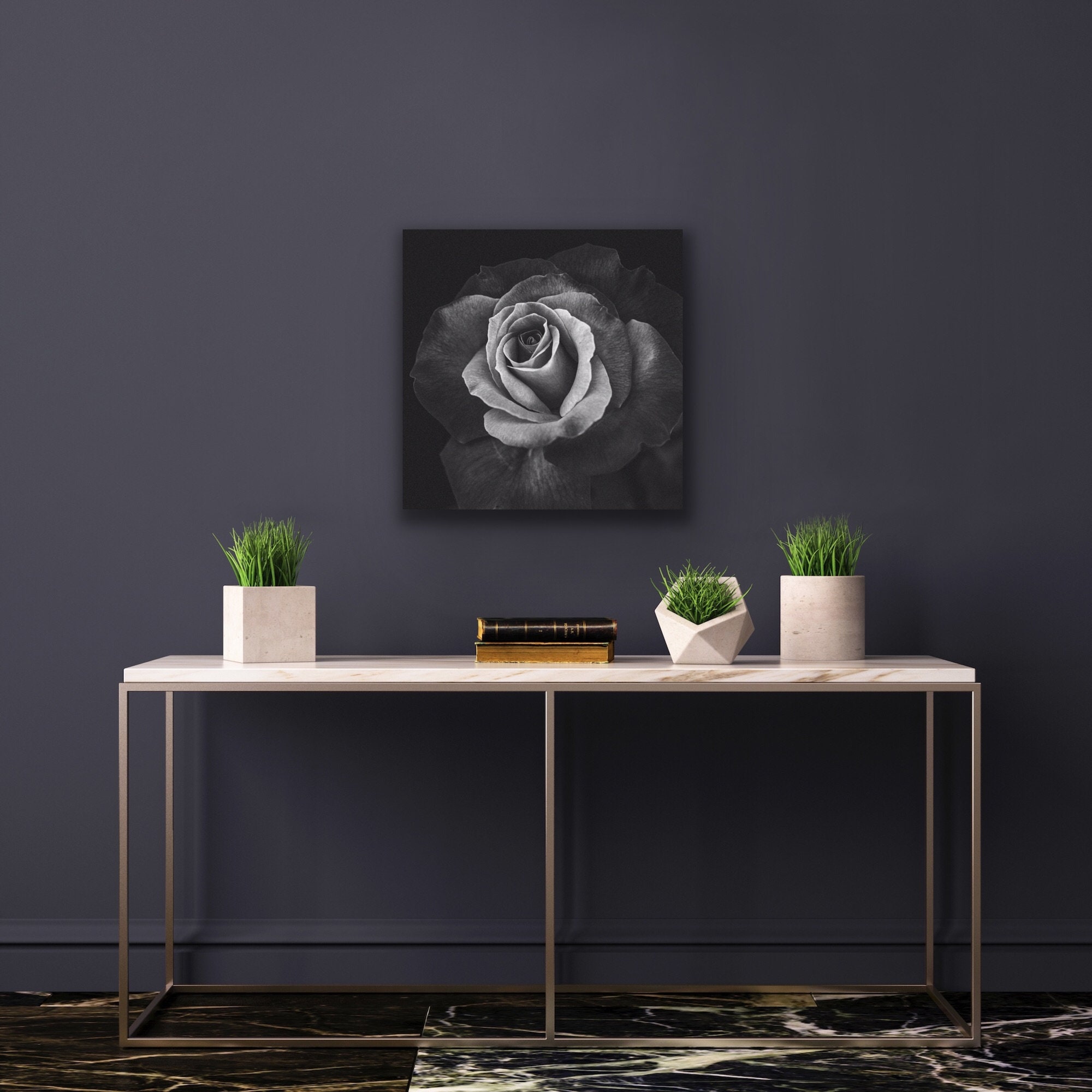 Black and White Blooming Rose - Photographic Wall Art - Etsy