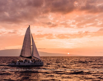 Sailing into the Sunset - Photographic Wall Art