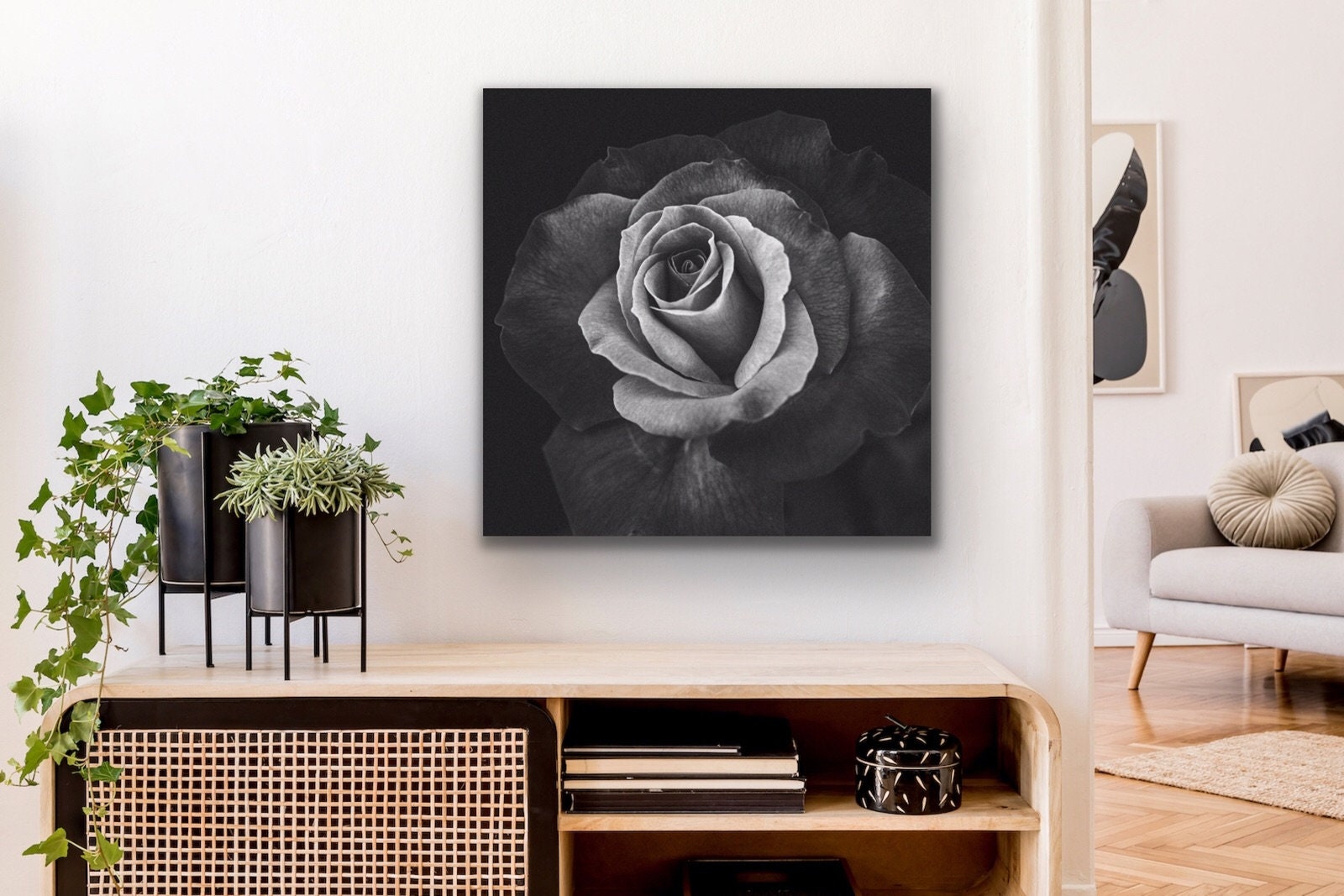 Black and White Blooming Rose - Photographic Wall Art - Etsy