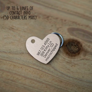 May include: A heart-shaped silver pet tag with engraved text: 987.123.4560, 369 Kitty Ln, Denver, CO, microchipped.