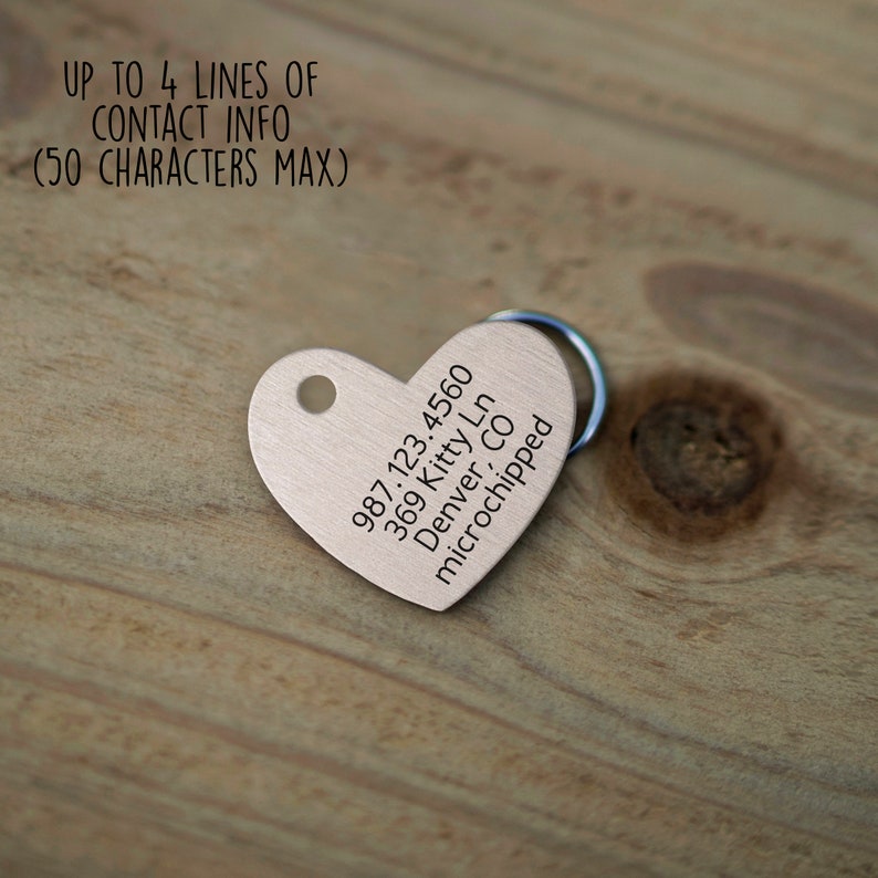 May include: A heart-shaped silver pet tag with engraved text: 987.123.4560, 369 Kitty Ln, Denver, CO, microchipped.