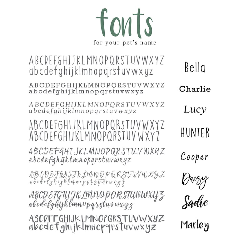 Pode incluir: Um gr&aacute;fico mostrando diferentes estilos de fonte para nomes de animais de estima&ccedil;&atilde;o. As fontes s&atilde;o mostradas em letras mai&uacute;sculas e min&uacute;sculas. Os nomes Bella, Charlie, Lucy, Hunter, Cooper, Daisy, Sadie e Marley s&atilde;o mostrados em uma fonte de escrita &agrave; m&atilde;o.