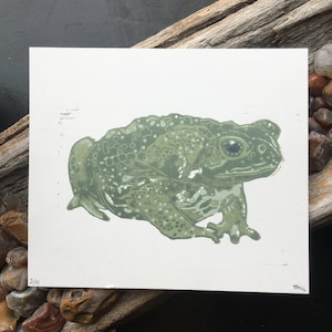 Toad Linocut Print, Nature Themed Wall Art, Frog art