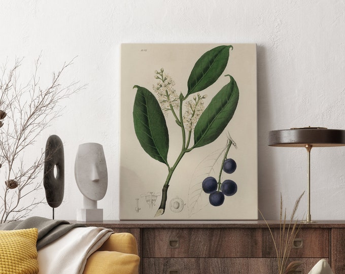 Canvas Prints , Herb Prints, Botanical Prints, Botanical Art, Botanical Print Set, Kitchen Art, Giclee, Art Prints, HerbFather's Day