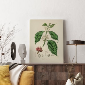 Leinwanddrucke, Kräuterdrucke, Botanische Drucke, Botanische Kunst, Botanisches Druckset, Küchenkunst, Giclée, Kunstdrucke, Kräuter 2Vatertag