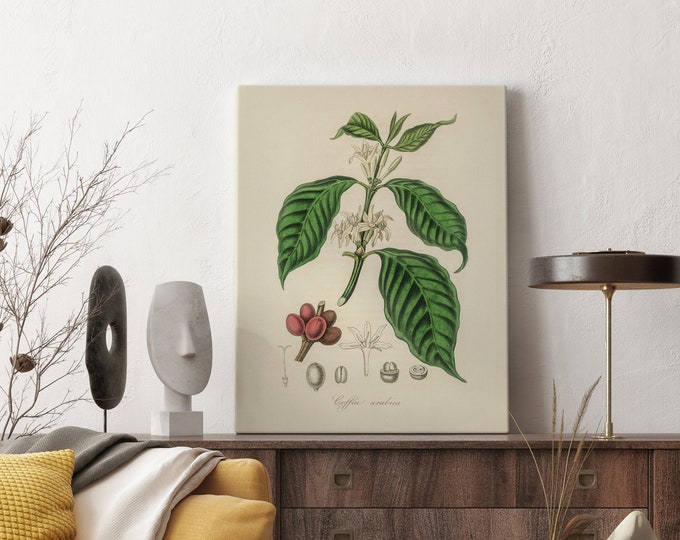 Canvas Prints , Herb Prints, Botanical Prints, Botanical Art, Botanical Print Set, Kitchen Art, Giclee, Art Prints, Herb 2Father's Day