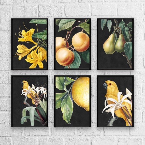 Antique Botanical Art Prints: Herb & Fruit Giclee Set