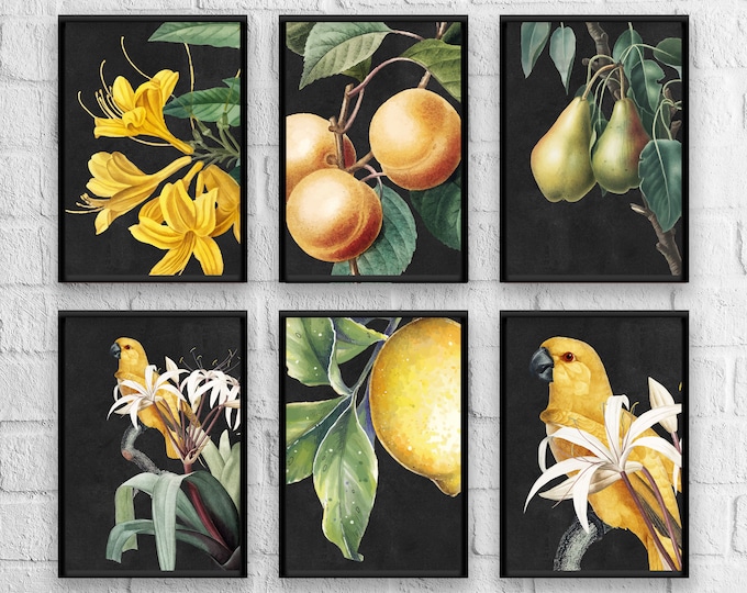 Antique Black Print Set, Herb Prints, Botanical Prints, Botanical Art, Botanical Print Set, Kitchen Art, Giclee, Art Prints, Herb