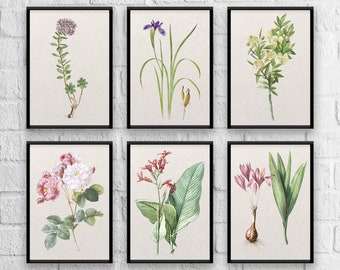 Antique Herbs Print Set No. 8, Herb Prints, Botanical Prints, Botanical Art, Botanical Print Set, Kitchen Art, Giclee, Art Prints, Herb