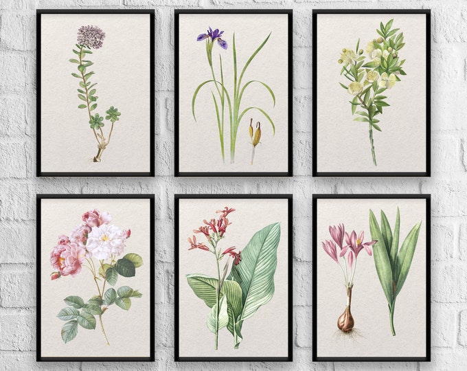 Antique Herbs Print Set No. 8, Herb Prints, Botanical Prints, Botanical Art, Botanical Print Set, Kitchen Art, Giclee, Art Prints, Herb