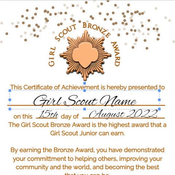 Girl Scout Bronze Award - EDITABLE - 1 or 2 Sided - Easily customize with Jettemplate