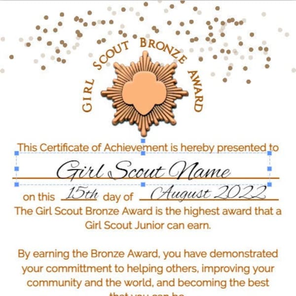 Girl Scout Bronze Award Svg Etsy