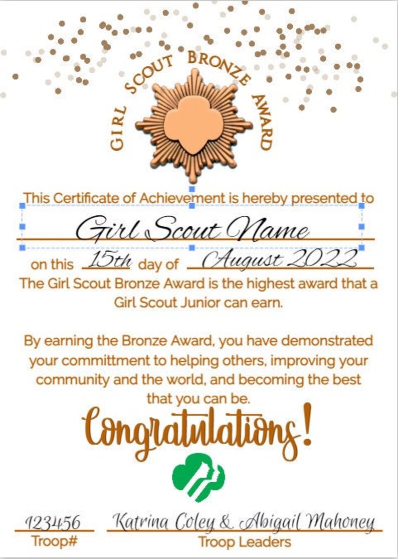 Girl Scout Bronze Award EDITABLE 1 or 2 Sided Easily Etsy