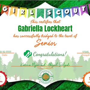Girl Scout Silver Award Certificate Printable PDF Template - Etsy Canada