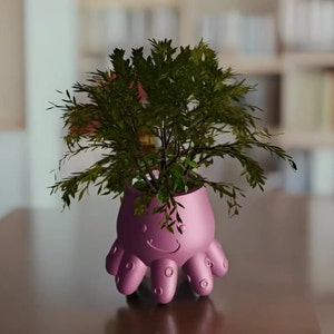 Op de afbeelding: Een roze octopusvormige plantenpot met een glimlachend gezicht, die een kleine groene plant vasthoudt.