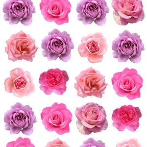 40 roses fleurs prédécoupées comestibles sucrées premium gaufrette carte décorations de cupcakes gâteau d'anniversaire décorations de biscuits
