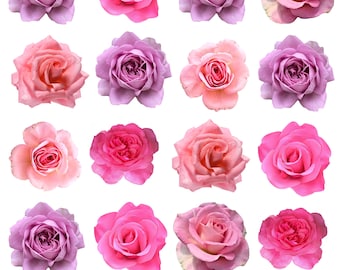 40 Edible Rose Flower Cake Toppers | Sweet Wafer Card, Vegan