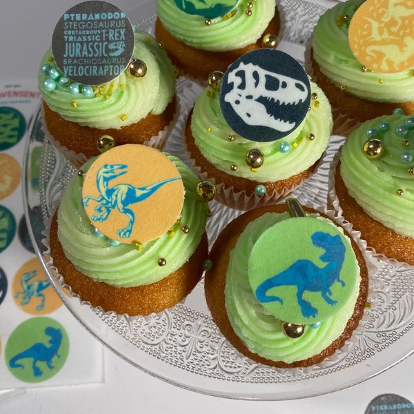 Dinosaur Jurassic 30 Round Edible Icing or Wafer Card Cake Toppers Birthday Cupcake Decoration